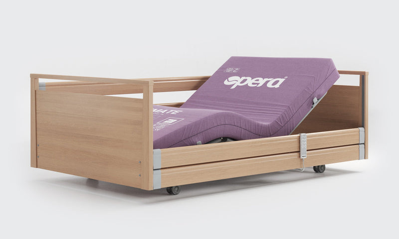 Bariatric Bed and Mattress
